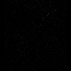 Meet your Posher, Reagan